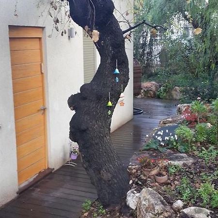 Oak Shade Villa Bethlehem of Galilee Exterior foto