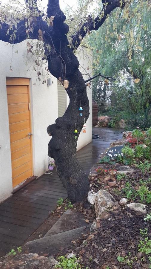 Oak Shade Villa Bethlehem of Galilee Exterior foto